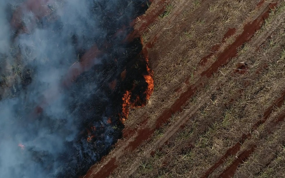 Queimada em canavial no Anel Viário Norte em Ribeirão Preto, SP — Foto: Marcelo Moraes/EPTV