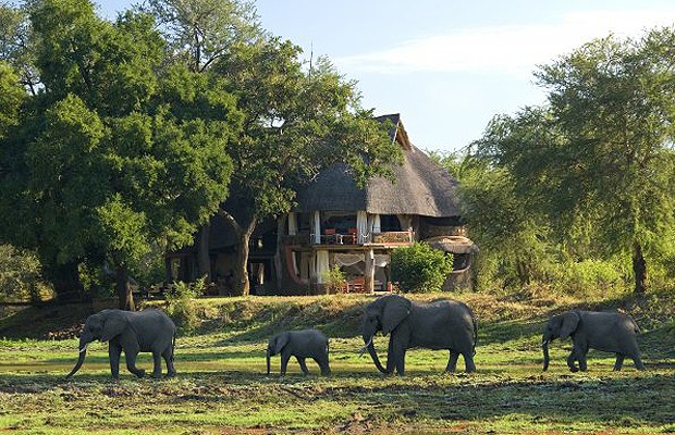 O hotel na Zâmbia fica dentro de uma reserva. Elefantes são vizinhos dos hóspedes (Foto: Divulgação)