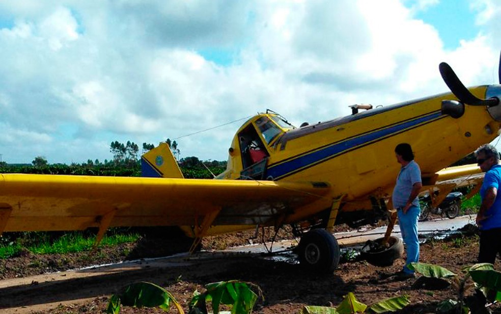 Avi&atilde;o agr&iacute;cola fez pouso de emerg&ecirc;ncia ap&oacute;s bater em fios de rede el&eacute;trica na Bahia (Foto: Site Bahia Dia a Dia)