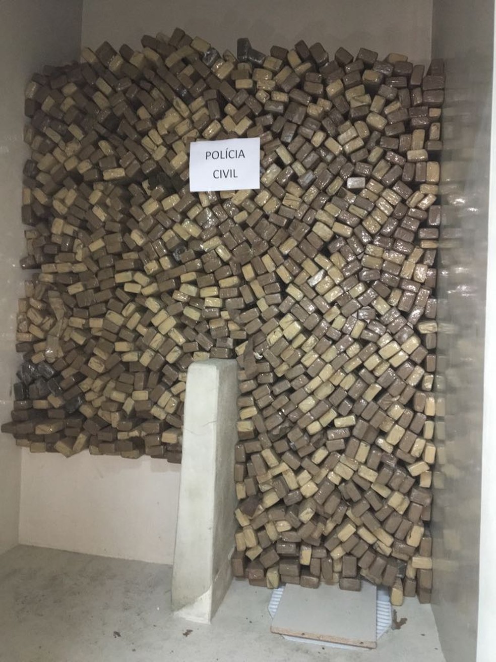 Mais de 800 tabletes de maconha foram encontrados (Foto: Divulgação/ Polícia Civil)
