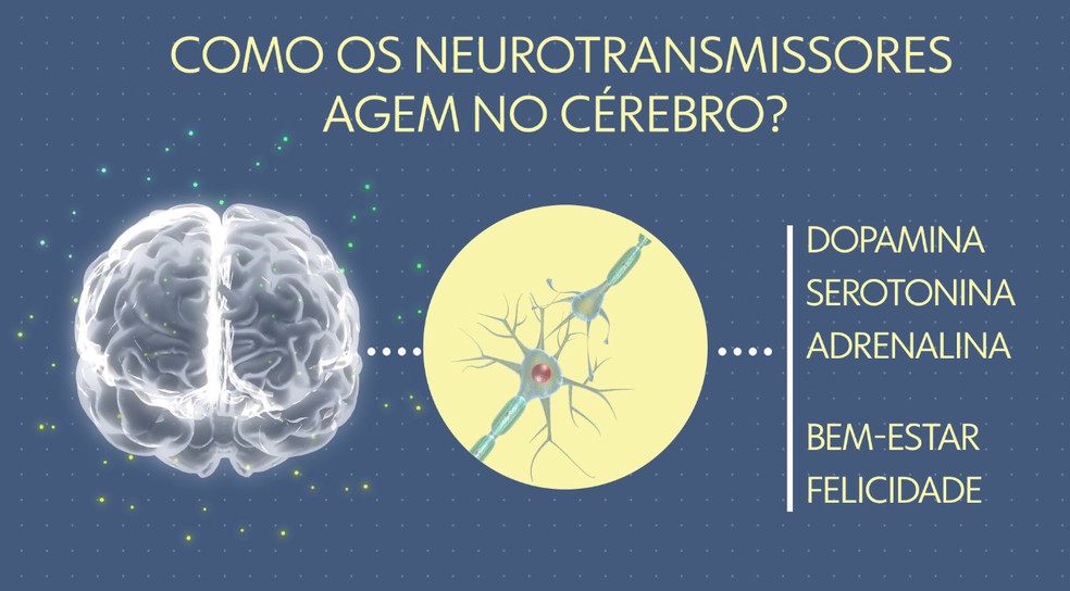 Entenda como os neurotransmissores agem no cérebro — Foto: Reprodução/ TV Globo