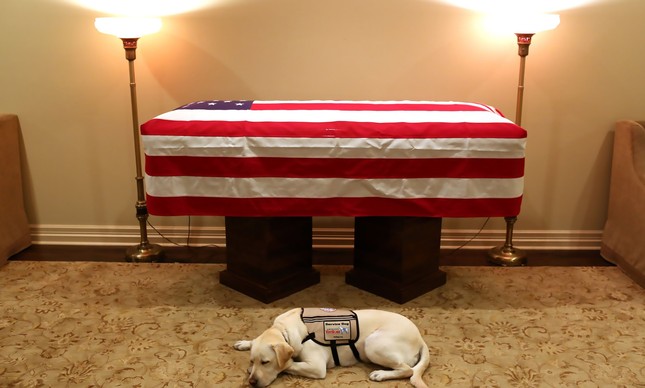 O cachorro Sully ao lado do caixão do presidente George Bush