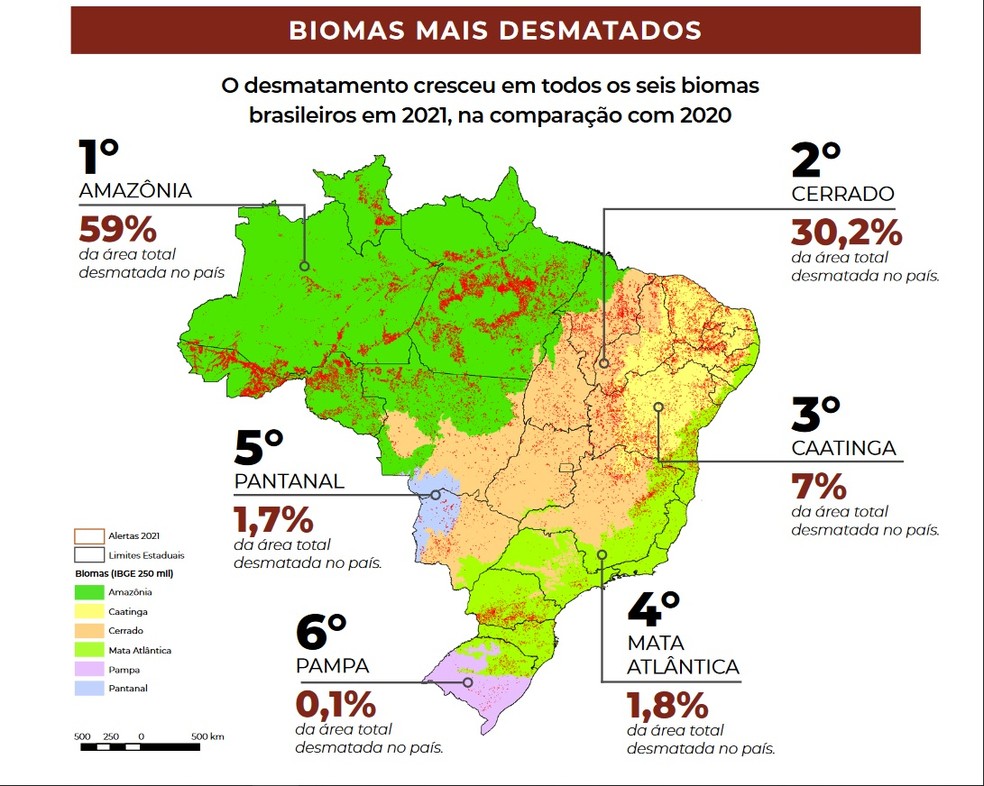 Desmatamento em 2021 aumentou 20%, com crescimento em todos os biomas — Foto: MapBiomas / Reprodução