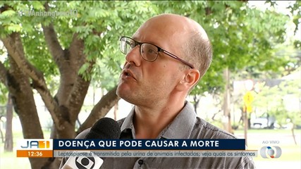 Saiba quais são os sintomas da leptospirose; doença é transmitida pela urina de animais