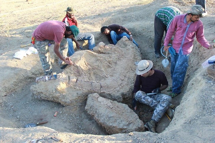 Pesquisadores escavam fóssil (Foto: Guntupalli V.R. Prasad)