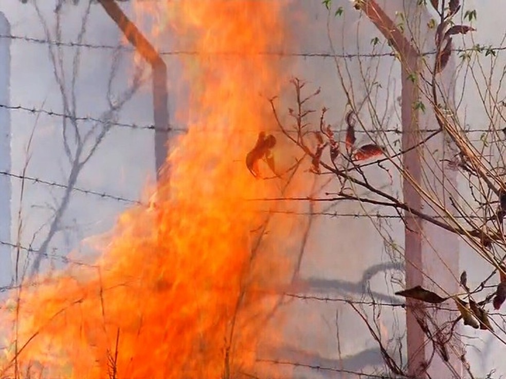 Ceará teve mais de 400 focos de incêndio somente em setembro deste ano — Foto: TV Verdes Mares/Reprodução