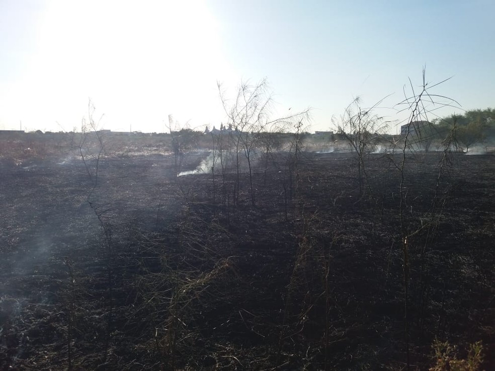 Fogo atinge vegetaÃ§Ã£o em Ã¡rea de proteÃ§Ã£o ambiental de Iguatu, no CearÃ¡ â€” Foto: Wandenberg BelÃ©m