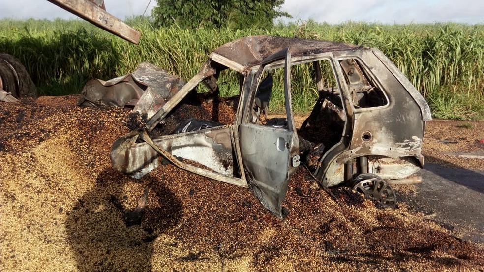 Veículo pegou fogo e motorista morreu na BR-163 em Diamantino — Foto: Polícia Rodoviária Federal de Mato Grosso/Assessoria