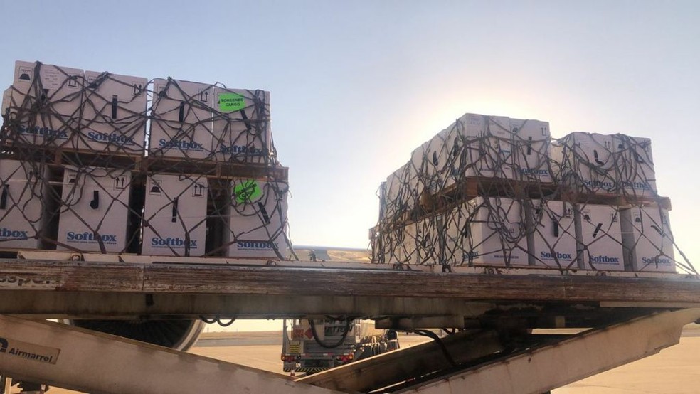 Lote com 1 milh�o de vacinas da Pfizer chegou neste domingo em Viracopos � Foto: UPS/ALF TV VCP