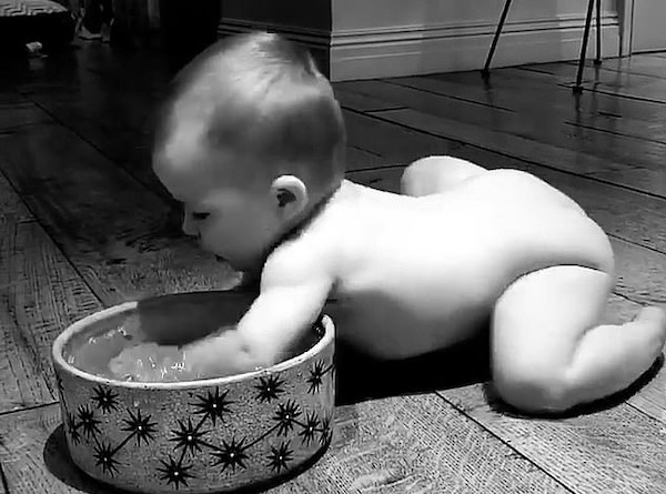 A filha de sete meses de Hillary Duff brincando com a água do cachorro da cantora (Foto: Instagram)