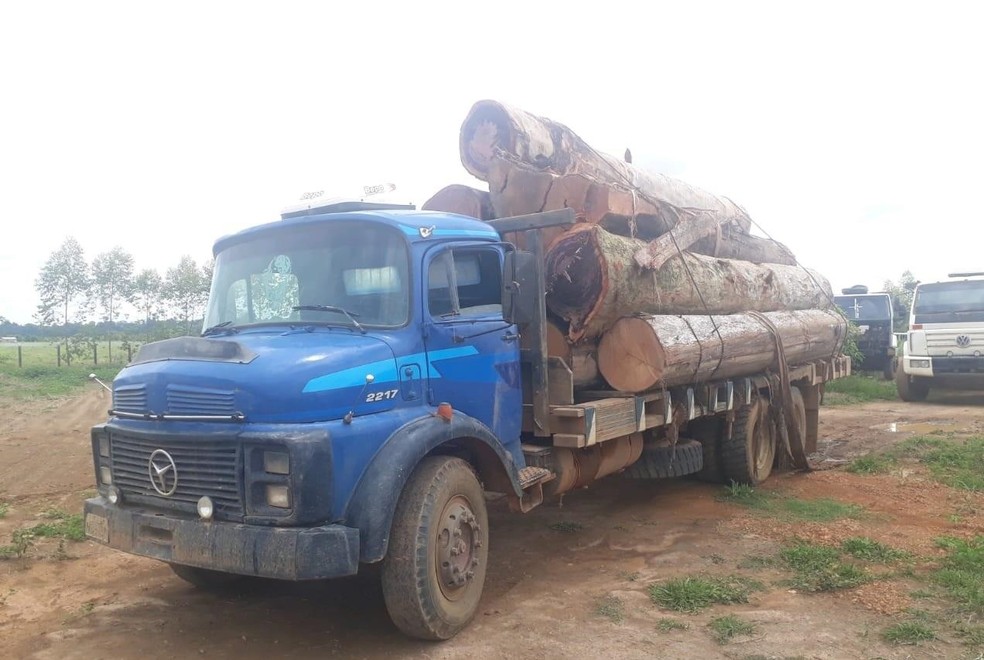 Caminhão já estava carregado e pronto para sair com as toras em Candeias (RO) — Foto: BPM/Divulgação