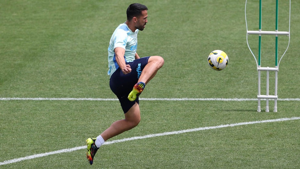 Luan, zagueiro do Palmeiras — Foto: Cesar Greco / Palmeiras