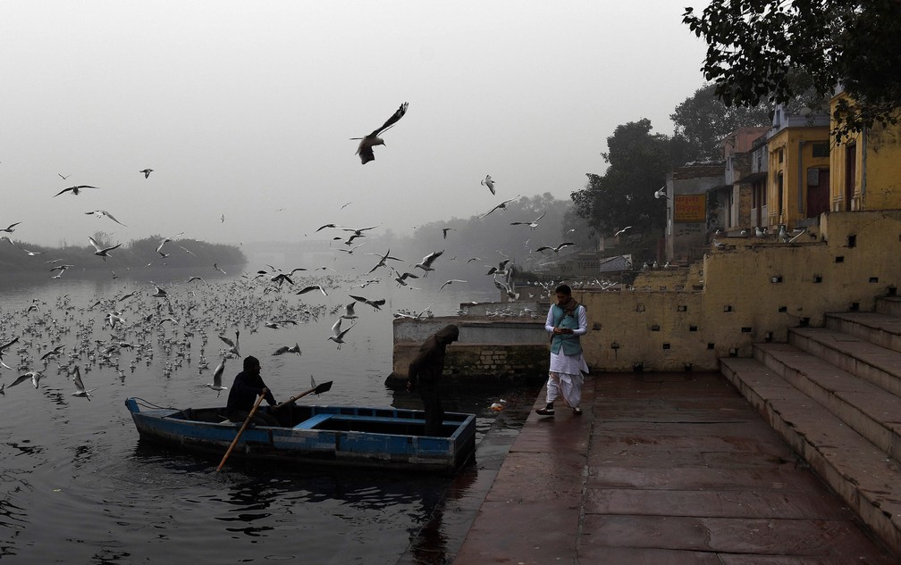 3 de janeiro - Um indiano se prepara para embarcar em uma canoa para alimentar gaivotas nas margens do rio Yamuna em Nova Déli, na Índia (Foto: Prakash Singh/AFP)