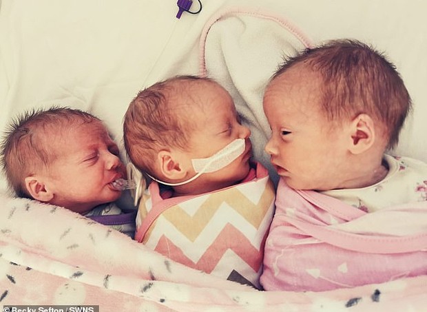As pequenas Ellie, Everlyn e Ella nasceram prematuras, em 28 de março, com pouco mais de 1 kg cada (Foto: Reprodução/Daily Mail)