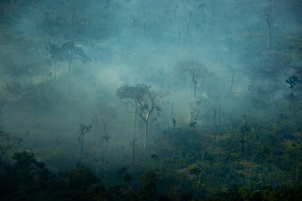 Greenpeace registra fogo na Amazônia durante última semana de julho, mesmo com moratória do fogo — Foto: Christian Braga/Greenpeace