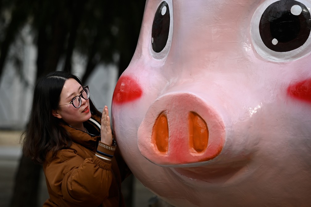 Mulher se aproxima de boneco de porco, sÃ­mbolo do novo ano chinÃªs, nesta terÃ§a-feira (5) em Beijing â€” Foto: Wang Zhao/ AFP
