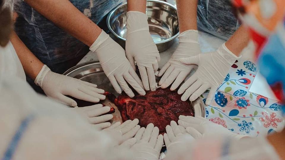 Alunas e placenteiras manipulando a placenta durante curso. (Foto: Reprodução Facebook / @bara.bada)