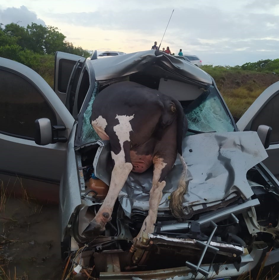 Carro fica destruído após bater em vaca na BR-101 no RN