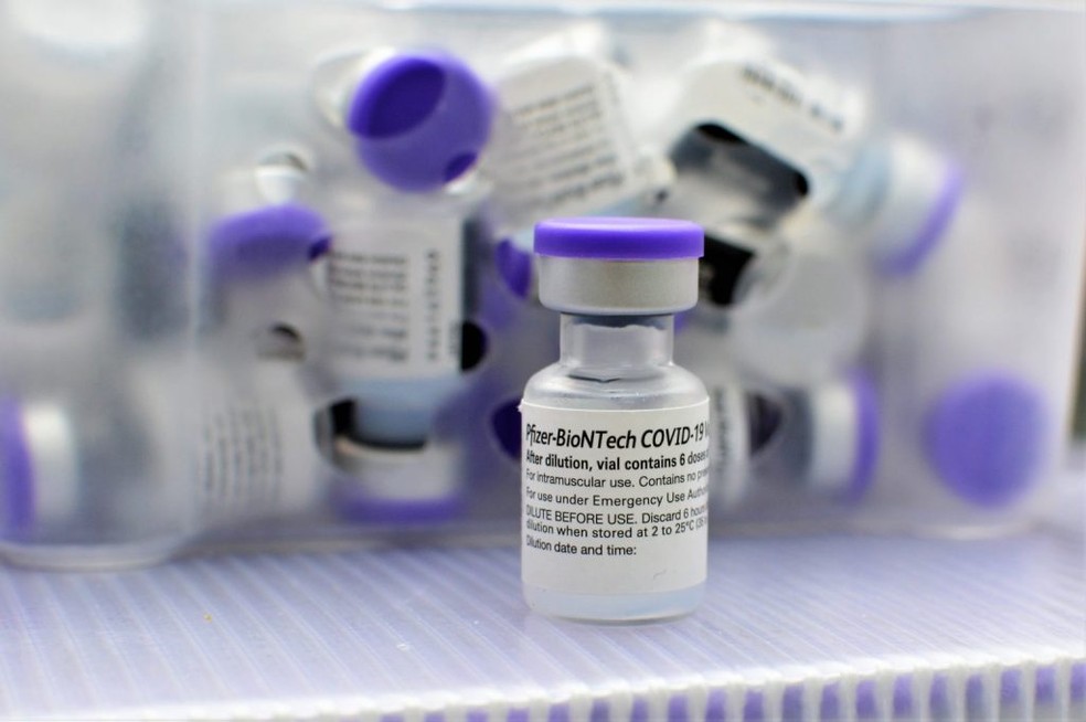 Vacina contra Covid da fabricante Pfizer — Foto: Carla Cleto