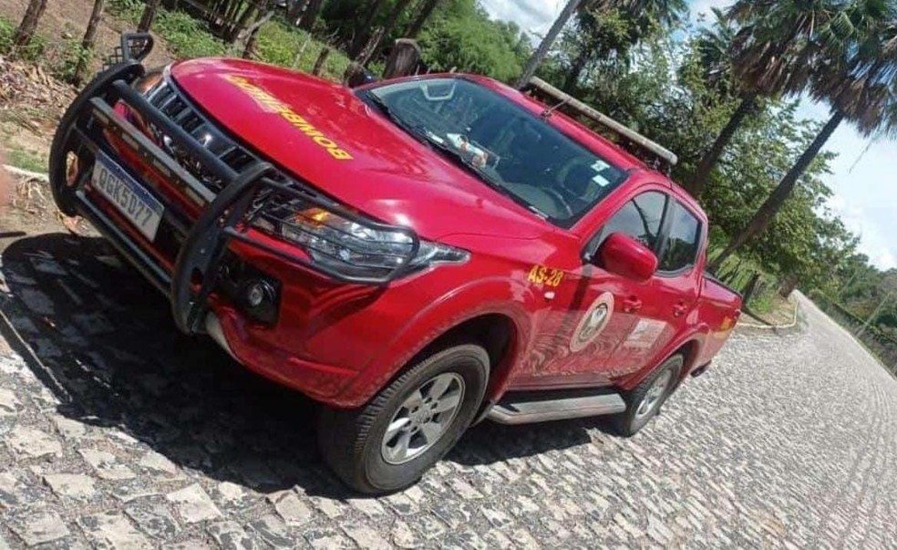 Corpo de Bombeiros foi acionado após ataque de abelhas em Felipe Guerra, RN — Foto: Cedida