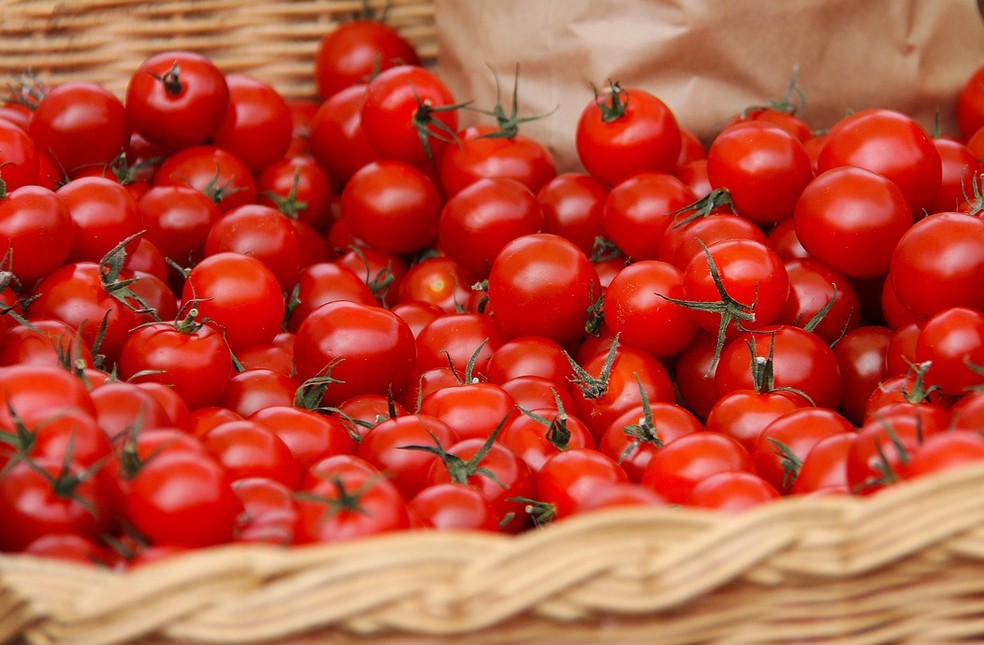 Cultivo do tomate-cereja é simples, fácil e reaproveita as sementes dele — Foto: Reprodução/Internet