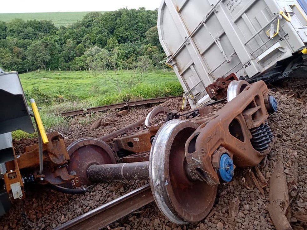 Trem que descarrilou seguia do porto intermodal de Pederneiras (SP) ao porto de Santos (SP) para exportação — Foto: Leonardo dos Santos /Arquivo Pessoal