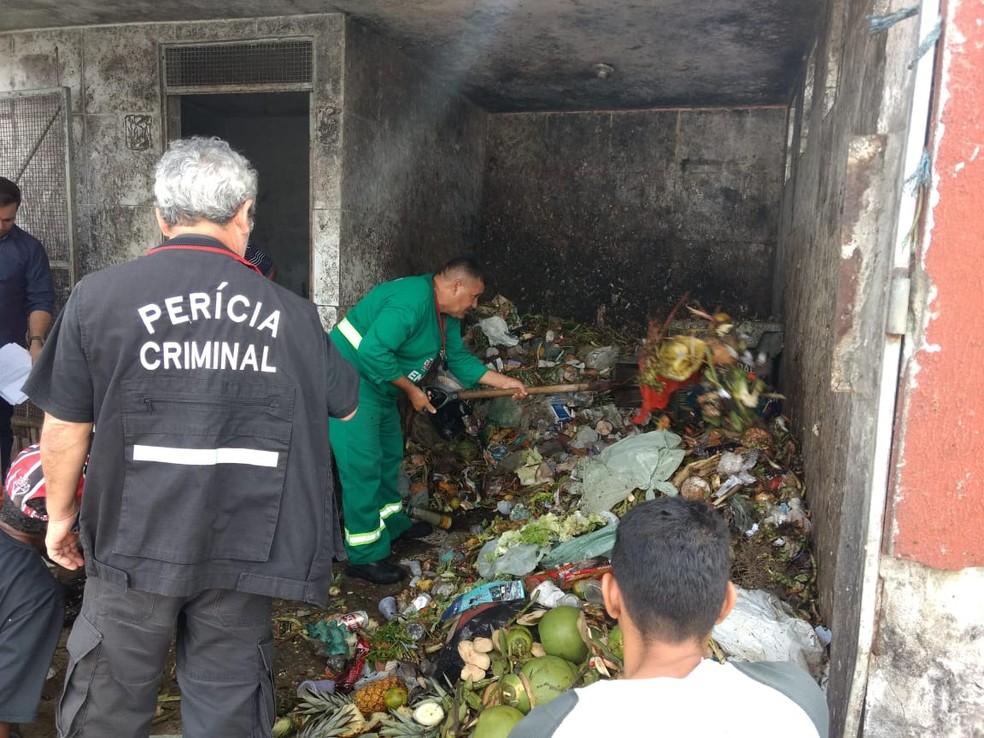 Animais foram encontrados mortos no espaço da dispensa de lixo do mercado público em João Pessoa — Foto: Francisco Garcia/Arquivo Pessoal