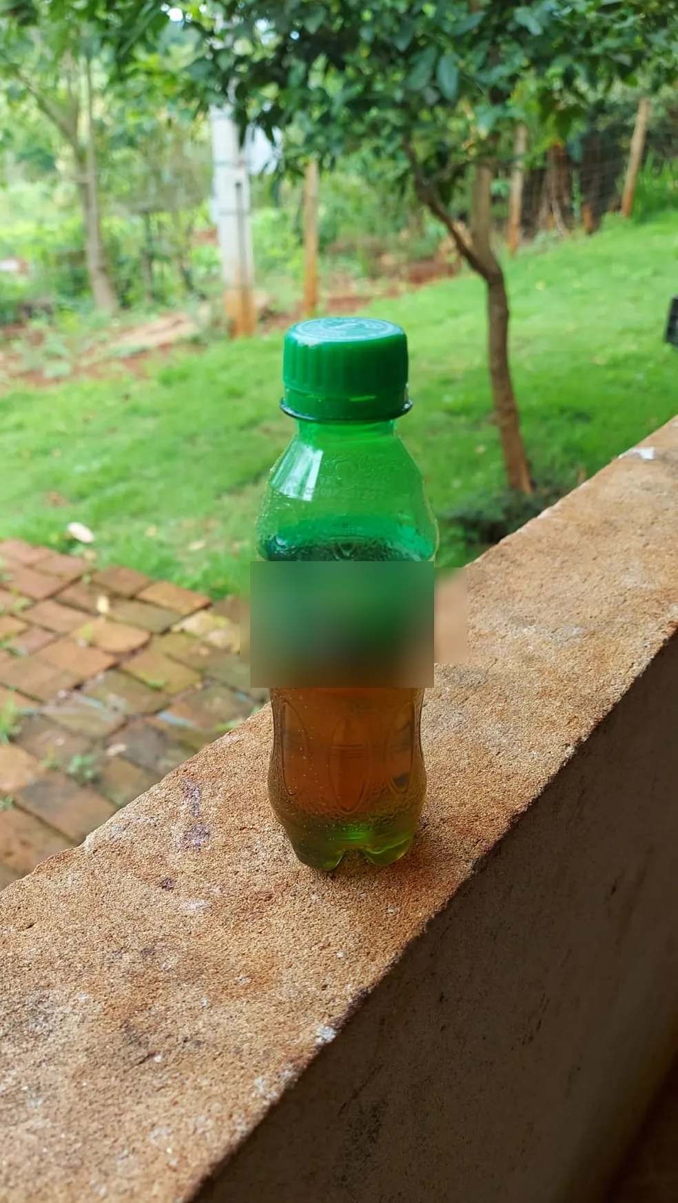 Garrafa de refrigerante armazenava veneno que criança bebeu em Apucarana (PR) — Foto: Reprodução/Polícia Civil