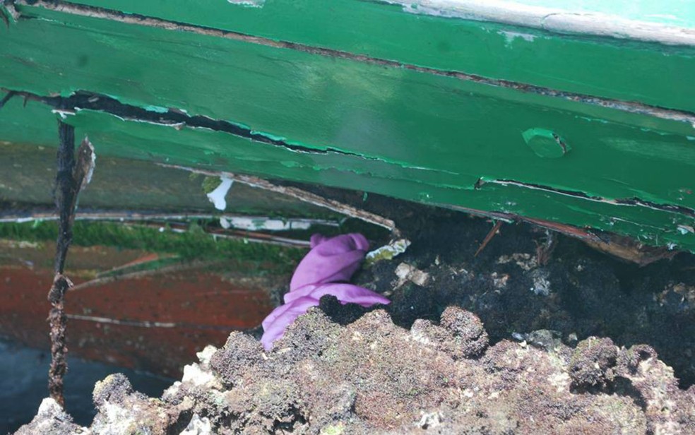 Casco da lancha ficou destruído por conta do acidente. (Foto: Afonso Santana/Arquivo pessoal)