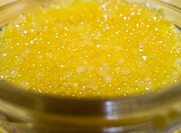 Caviar do tipo Almas (Foto: Divulgação )