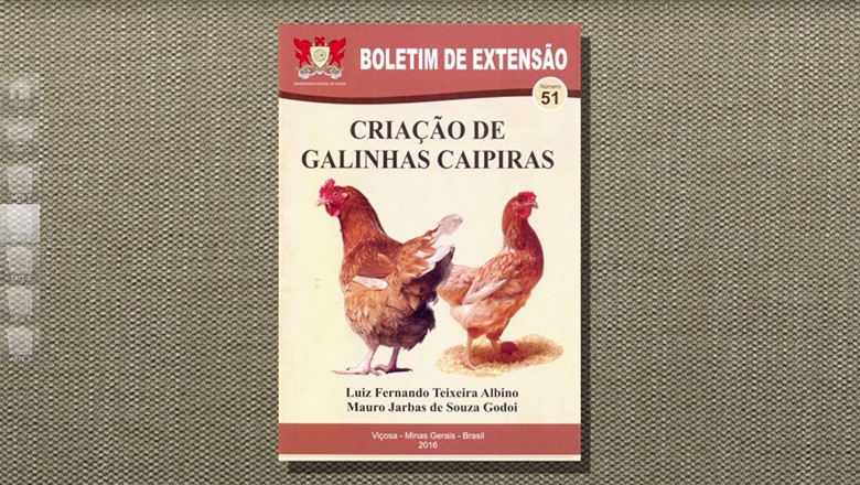 galinha-ovo-tv-livro (Foto: Reprodução/ TV Globo)