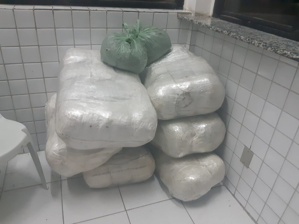 Total de 76 kg de maconha foram apreendidos em São Caetano — Foto: PRD/Divulgação