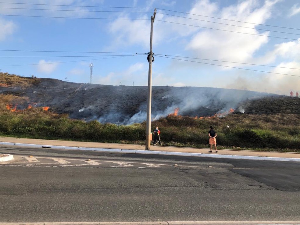 Incêndio destrói parte da vegetação na Avenida Litorânea, em São Luís. — Foto: Divulgação.