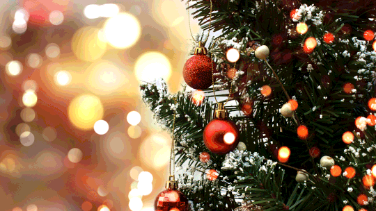 Dicas práticas para ter uma iluminação de Natal bonita e segura
