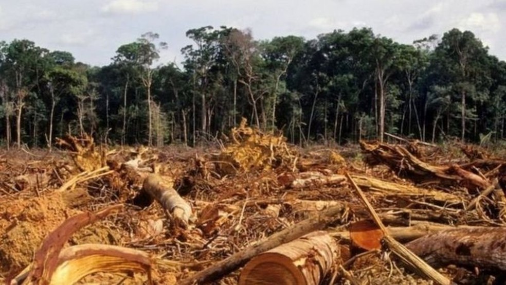Dados do Inpe mostram aumento no desmatamento na Amazônia em outubro de 2021 em comparação com o ano passado. Área destruída é recorde para o mês desde o início da série histórica, em 2016. — Foto: Getty Images/Via BBC