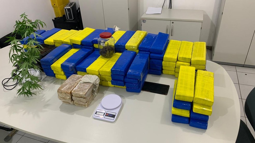 150 kg de maconha encontrados no veículo e na residência — Foto: Divulgação/SSP