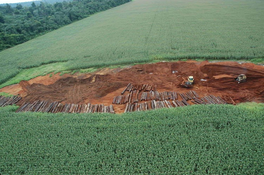 Redução do desmatamento na Amazônia é maior em cidades em que as Forças Armadas não atuam