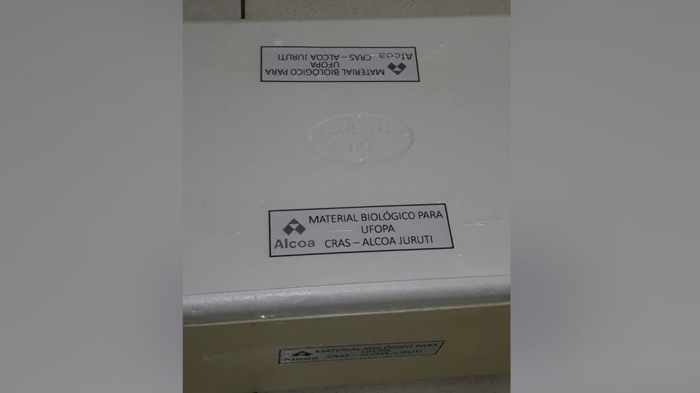 Caixa térmica de isopor continha identificação com destino a Ufopa — Foto: Redes sociais