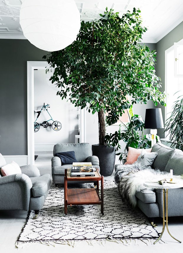 7 plantas para a sala de estar - Casa Vogue