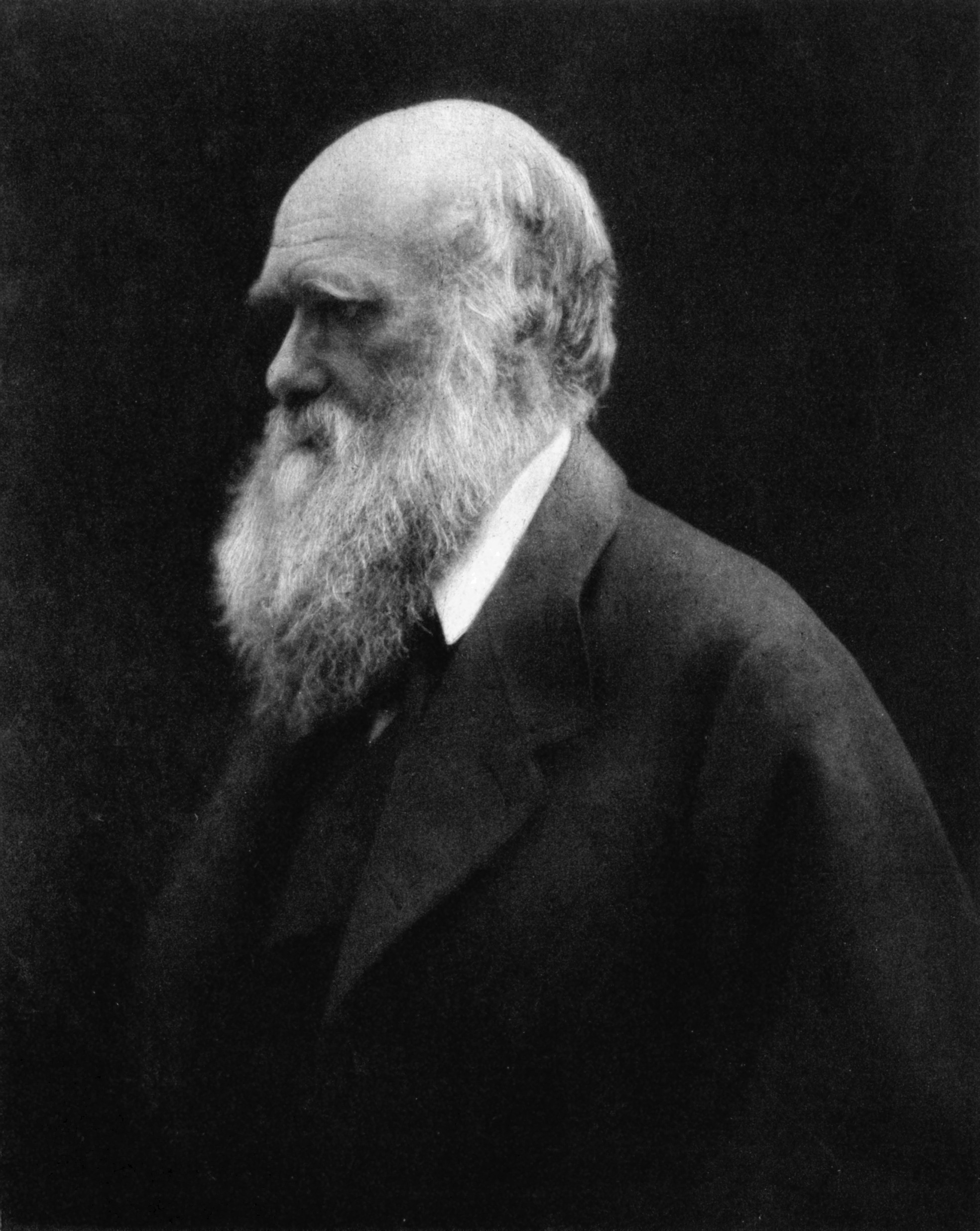 Charles Darwin em 1868 (Foto: Wikimedia/Julia Margaret Cameron)