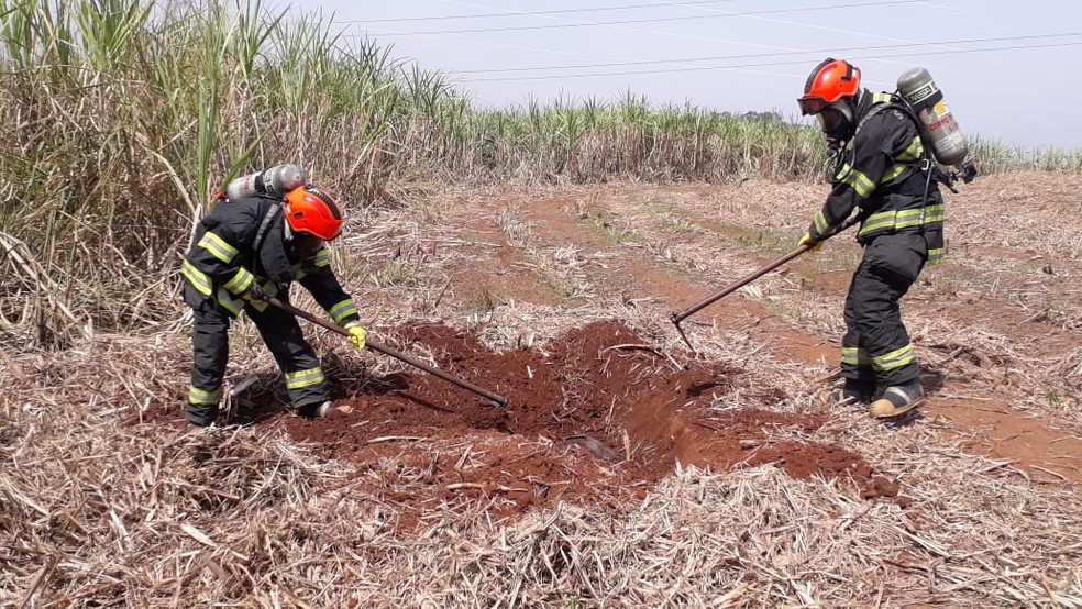 Corpo foi localizado em área rural de Limeira — Foto: Wagner Morente/GCM de Limeira