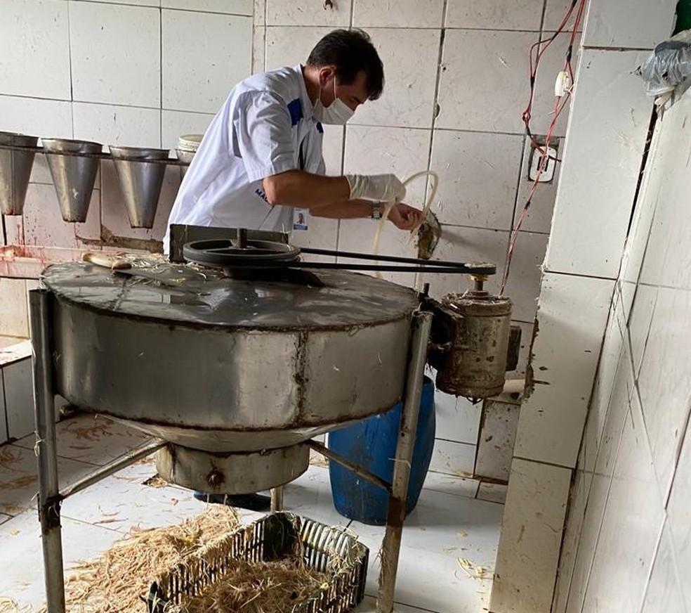 Fiscalização da Vigilância Sanitária de Maceió — Foto: Ascom/Visa Maceió