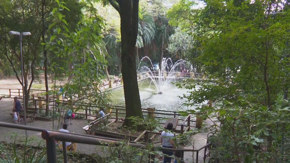 Parque da Água Branca, em São Paulo.  — Foto: Reprodução/TV Globo