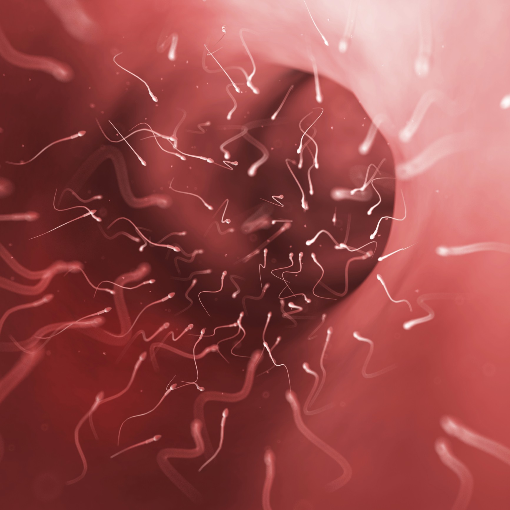 Óvulo rodeado por espermatozoides (Foto: Thinkstock)