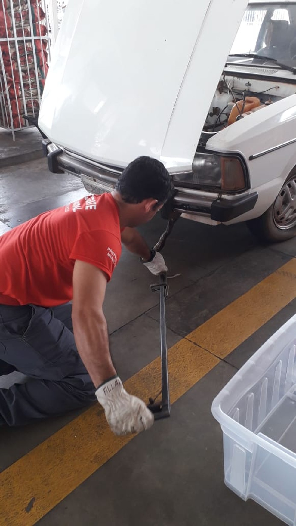 Filhote de sucuri foi resgatado dentro de carro em Junqueirópolis — Foto: Patrícia de Lima