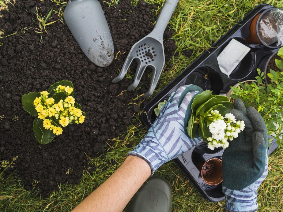 Jardineiro é o profissional ou amador que dedica-se ao cultivo de plantas e cuidados do jardim