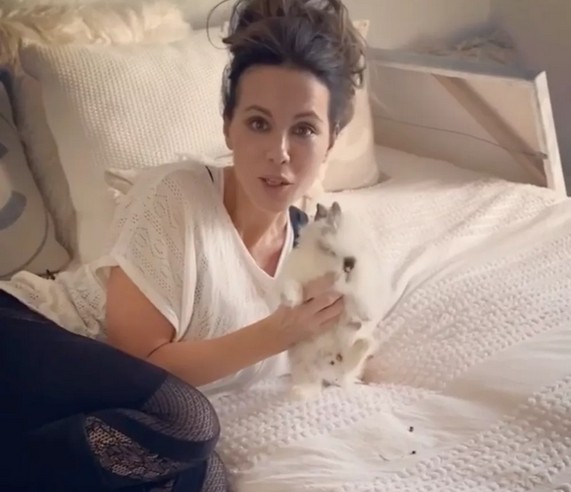 A atriz Kate Beckinsale com o coelho cagão em sua cama (Foto: Instagram)