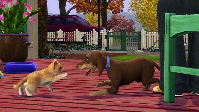 Saiba como conseguir um cão ou gato de estimação em The Sims 3 Pets (Foto: Reprodução/The Sims Wikia)