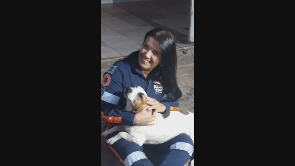 Enfermeira do Samu posa com 'Nada Consta' após cachorro pegar carona em ambulância — Foto: Arquivo pessoal