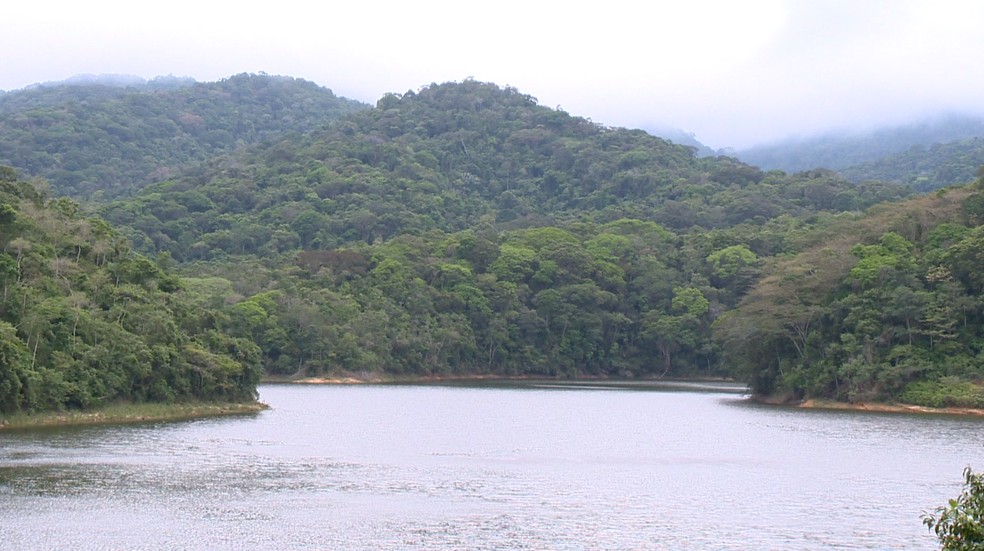 Mata Atlântica no EspÃ­rito Santo (Foto: Arquivo/ TV Gazeta)